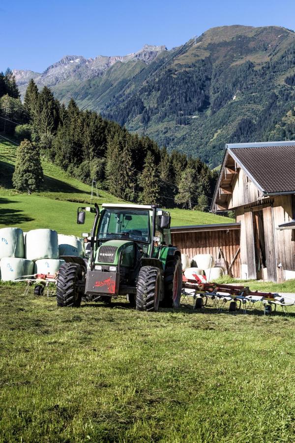 Oberlehenhof Villa Kaprun Dış mekan fotoğraf