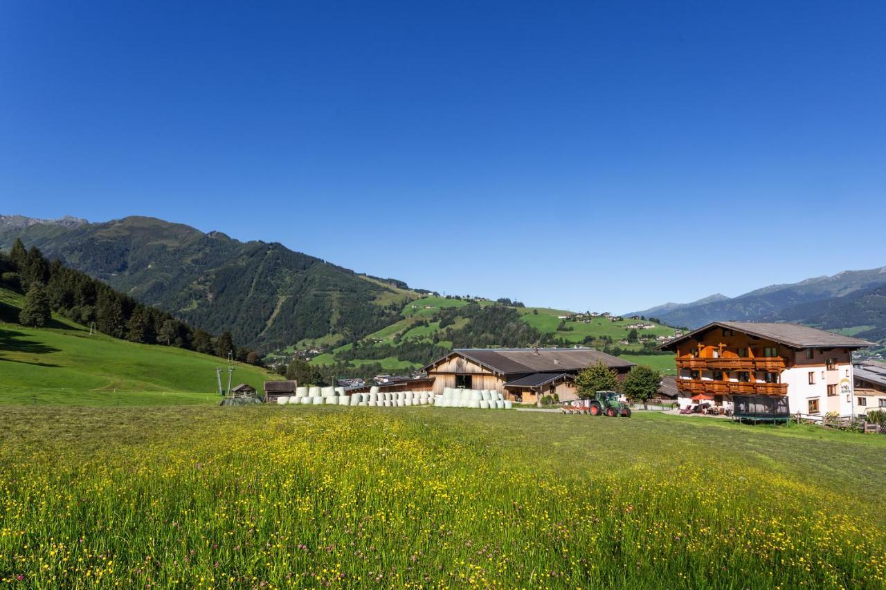 Oberlehenhof Villa Kaprun Dış mekan fotoğraf